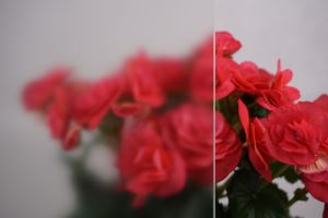 Haze üvegház-üveget