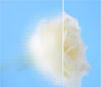 3,2 mm-es alacsony vas-mintás napelemes üveg